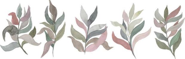galhos de aquarela com folhas de cores diferentes vector elementos isolados.