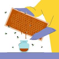 apicultor segurando células de mel, cuidando de abelhas. conceito de apiário, processo de fabricação de mel vetor