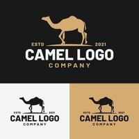 modelo de design de logotipo de silhueta de camelo vetor