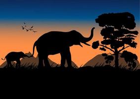 elefante preto de imagem de silhueta andando na floresta com ilustração vetorial de luz de noite de fundo de montanha e pôr do sol vetor