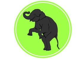elefante ásia em pé, no logotipo do círculo verde, ilustração vetorial de design gráfico de fundo branco isolado vetor