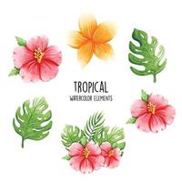 coleção de flores de verão. ilustração vetorial vetor