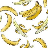 padrão perfeito, fruta de banana em fundo transparente, ilustração vetorial vetor