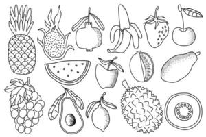 conjunto de vetores de doodle de frutas frescas. ilustração vetorial