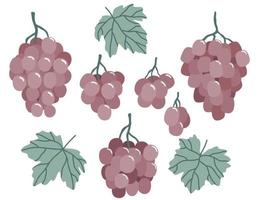 conjunto de uvas desenhadas à mão em um fundo branco. ilustração vetorial vetor