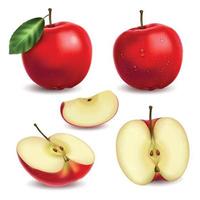 conjunto de maçãs realistas vetor
