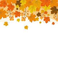 fundo de quadro de outono com folhas amarelas douradas. conceito de outono, para papel de parede, cartões postais, cartões, páginas do site, banners, vendas online. ilustração vetorial vetor
