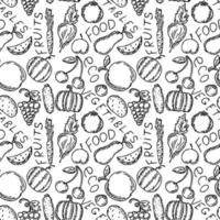 padrão de comida vegetariana perfeita. doodle vector com ícones de comida vegetariana em fundo branco. ícones de comida vintage