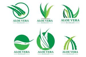 planta verde aloe vera logotipo vetor ícone símbolo muitos benefícios