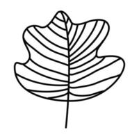 galhos decorativos de plantas com folhas desenhadas com linhas, no estilo da arte de linha, isolados em um fundo branco. vetor