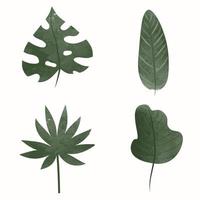 folhas verdes decorativas em aquarela, palmeiras e monstera. galhos de árvores com folhas, ilustração vetorial vetor