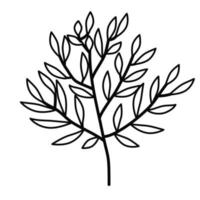 galhos decorativos de plantas com folhas desenhadas com linhas, no estilo da arte de linha, isolados em um fundo branco. vetor