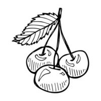 clipart de cereja vetorial. ícone de baga desenhada de mão. ilustração de frutas vetor