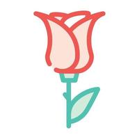 ilustração em vetor ícone de cor de flor aromática rosa