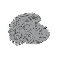 desenho lateral de cabeça de macaco gelada vetor