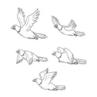 conjunto de coleção de desenhos animados de lado voador de águia
