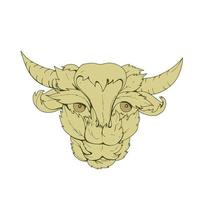 desenho de vaca de touro verde vetor