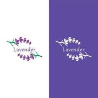 vetor de logotipo de flor de lavanda fresca