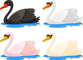 quatro cisnes em cores diferentes vetor