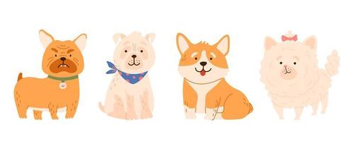 cachorrinhos peludos fofos raça pomeranian, pug, bulldog, coleção de corgi. conjunto de filhotes de animais dos desenhos animados. ilustração vetorial isolada para impressão de camiseta, jogo, têxtil, ícones de animais de estimação, design infantil. vetor