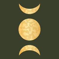 fases da lua para astrologia sagrada pagã. ciclo completo celestial de luas. ilustração vetorial. vetor