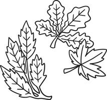 desenho de folhas de outono de ação de graças isoladas para colorir vetor