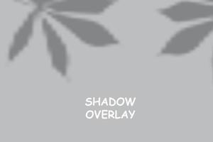 fundo de sobreposição de sombra. sombra de janelas e design de vetor gráfico de pano de fundo de orifício de ventilação