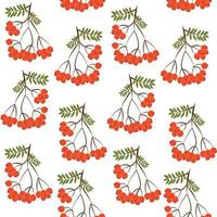 Seamless pattern background com rowanberrys e folhas vetor