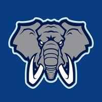 mascote de vetor de elefante. cabeça de elefante africano. design de emblema para equipe esportiva.