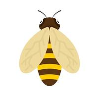 ícone multicolorido plano de abelha vetor