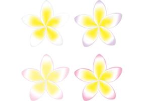 Pacote de vetores de flores polinésias