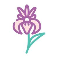 ilustração vetorial de ícone de cor de flor de íris vetor