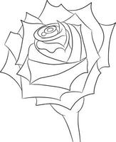 uma rosa pintada. desenho de contorno. flor para colorir. vetor