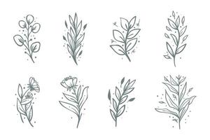 coleção de composição de flores botânicas desenhadas à mão. ramos de doodle floral tropical. vetor