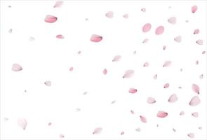 cenário de pétalas de cereja. fundo de pétalas de sakura.