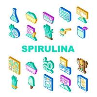 conjunto de ícones de ingredientes de nutrição de espirulina vetor