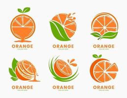 conjunto de modelo de logotipo de fruta laranja vetor