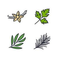 elementos de especiarias, condimentos e ervas definir modelo de símbolo de ícone para ilustração em vetor logotipo de coleção de design gráfico e web