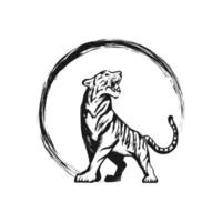 elementos de design de ilustrações vetoriais de tigre vetor
