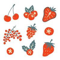 conjunto de bagas. cerejas, morangos, chokeberry. ilustração vetorial mão desenhada. vetor