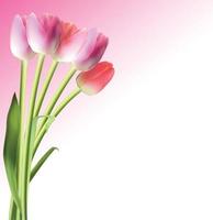linda ilustração em vetor fundo de tulipa realista rosa