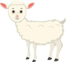 ovelhas bonitas em estilo cartoon plana vetor