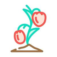 ilustração em vetor ícone de cor de tomate de mudas