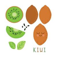 conjunto de frutas. coleção de frutas de verão. frutas kiwi. comida vegetariana e ecológica. ilustração vetorial