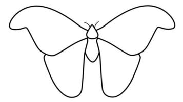ilustração de contorno preto e branco de borboleta. livro de colorir ou página para crianças vetor