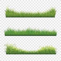 conjunto de borda de grama verde vetor