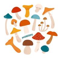 cogumelos definir diferentes cores e tamanhos ilustração em vetor design plano