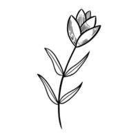 ilustração vetorial floral desenhada à mão vetor