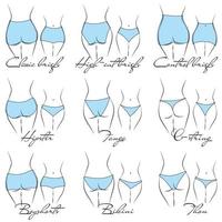 ilustração do design e variedade de calcinhas femininas. modelos de lingerie desenhados à mão. calcinhas são classificadas em vários estilos com base em critérios. vetor