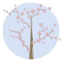 ilustração de contorno de sakura. vetor